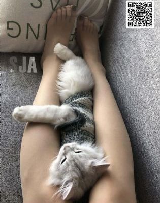 国产综合在线观看精品_BD免费在线播放