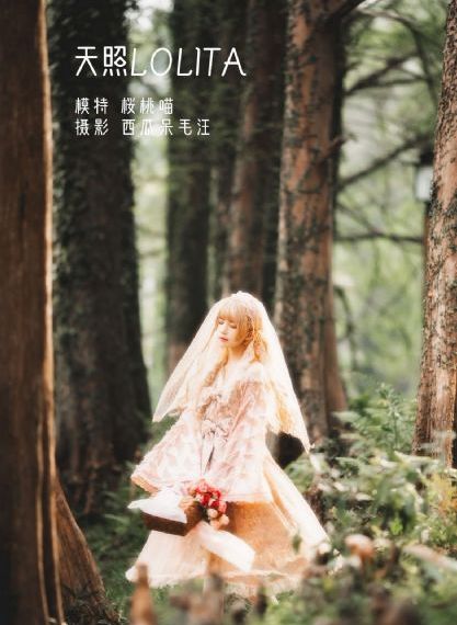 无码精品一区二区在线A片软件_4K免费观看视频