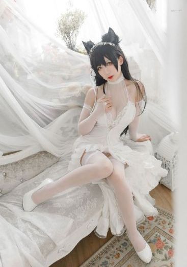 91高清视频免费观看_免费完整版高清