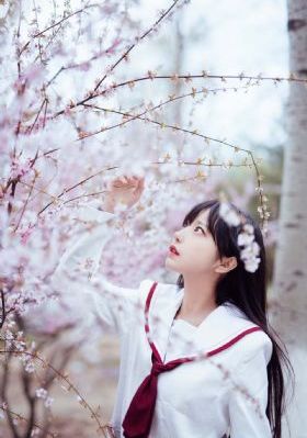 黄色网www_DVD全集免费观看